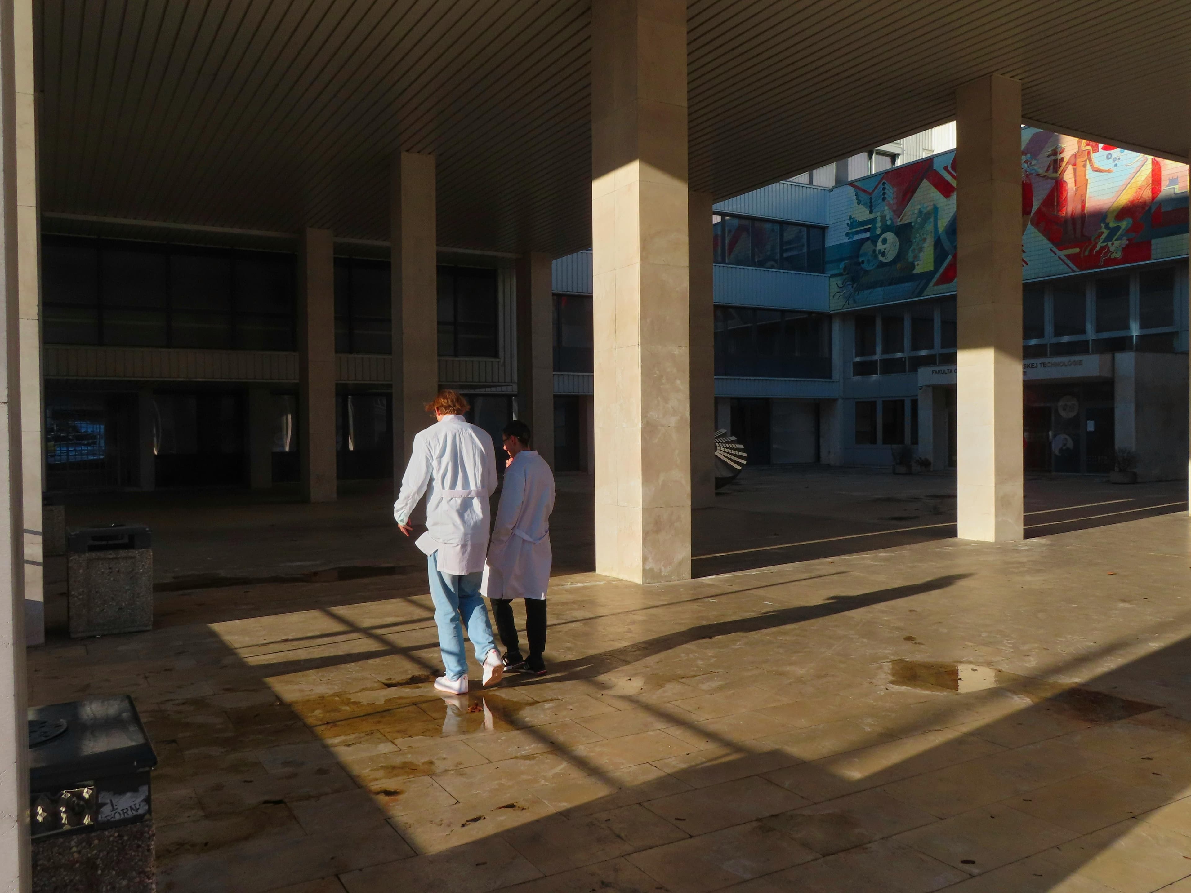 ¿Qué Piensan los Directores de Residencia médica de EE. UU.?